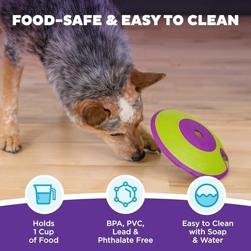 Outward Hound Nina Ottosson Dog Treat Maze Dog Toy, Tap & Flip, 7.5" | Level 2 Intermediate, Tap & Flip Game, Kibble or Treats, Easy Clean, No BPA, Interactive Enrichment, Dogs & Puppies