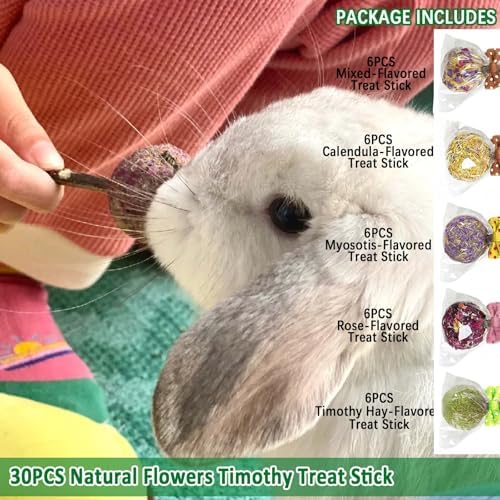 kathson 30PCS Rabbit Timothy Hay Treats Sticks,Interactive Bunny Lollipop Chew Sticks,Natural Guinea Pigs Chewing Treats Molar Teeth Toys for Small Animals,Chinchilla,Hamster,Gerbil