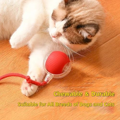 Interactive Electric Dog Ball Toy - USB Rechargeable Smart Pet Bounce Ball, Automatic Moving Toy for Dogs (Green-A)