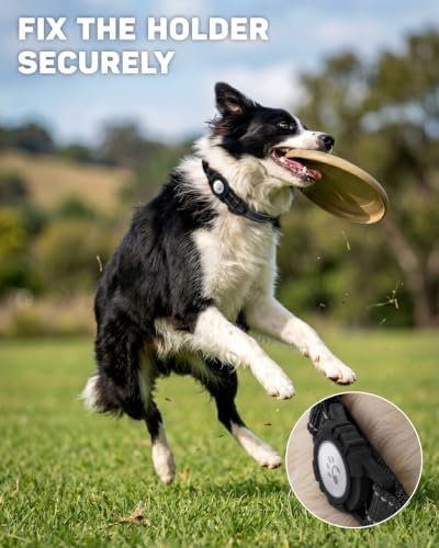 Padded Dog Collar with Waterproof Holder Compatible with Airtag