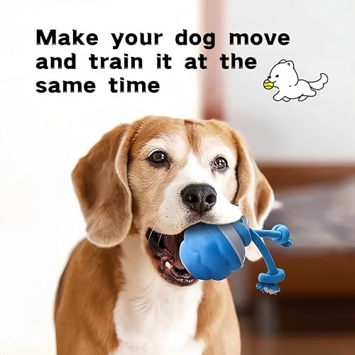 Interactive Dog Toys Ball - Fun Moving Dog Toys to Keep Them Busy | Smart Jumping Ball for Dogs with Three Modes, Rechargeable Automatic, Knot Design, Bite-Resistant and Teeth-Cleaning,Blue