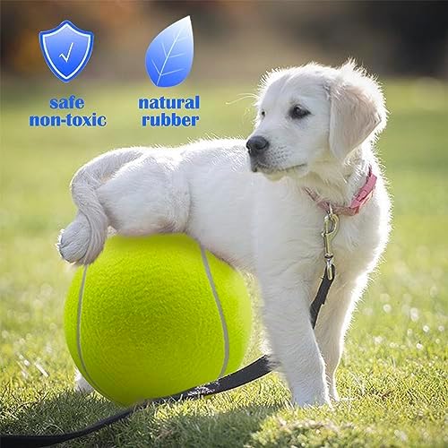 Banfeng Dog Tennis Ball, 9.5" Giant Sport Gift Toy Herding Ball for Dogs