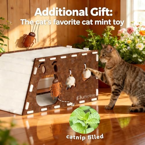 Cat Tunnel House for Indoor Cats, 3-in-1 Felt Cave and Scratcher