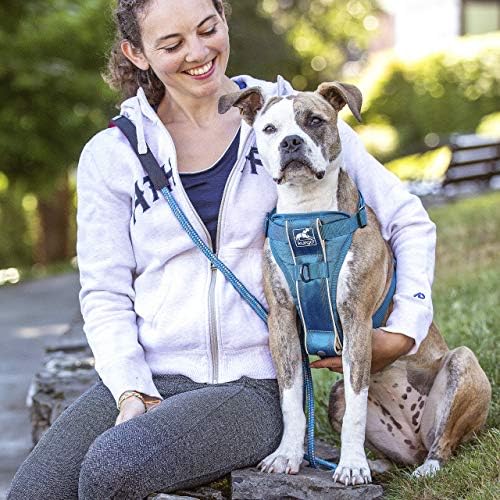Kurgo Tru-Fit Smart Harness, Blue, Small