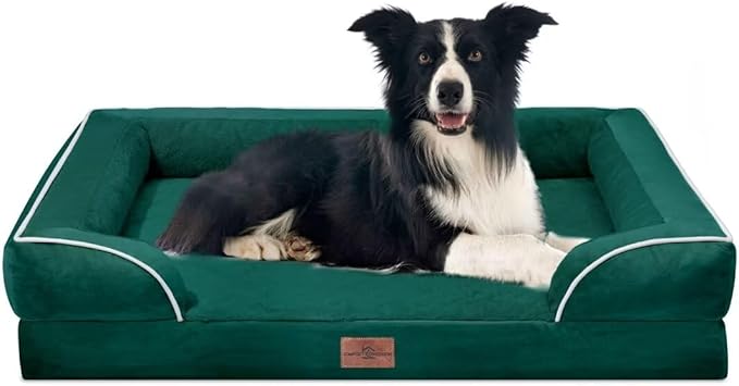 Comfort Expression Waterproof Orthopedic Dog Beds for Large Sized Dog | Supportive Egg Crate Foam Large Pet Bed with Removable Bolster, Dog Couch with Washable Cover & Non-Slip Bottom, 36x27 Inch
