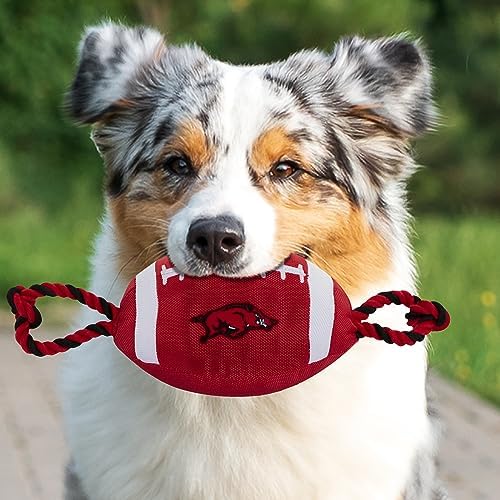 Pets First NFL Unisex NFL Nylon Football