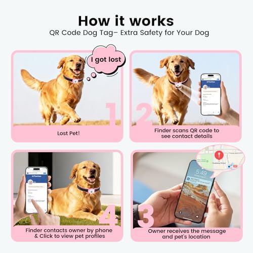 Leather Dog Collar with AirTag Compatible Holder & QR ID, Pink, L