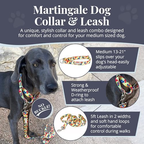 Lucky Love Dog Martingale Collar & Leash Set No Slip Cute – Oscar, Medium