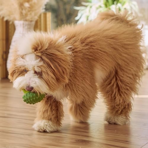 SPOT Treat Tumbler Broccoli – Freezable & Fillable Treat Dispensing Dog Toy for Small & Medium Dogs, Silicone, Easy to Clean, Interactive, Holds Small Kibble & Soft Snacks, 4.38 in