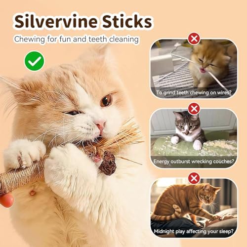 Cat Toys for Indoor Cats, Orange, 3 Pcs Silvervine Sticks & 1 Pc Rope