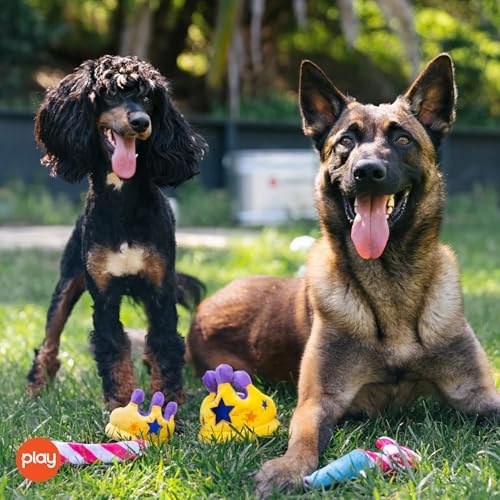 P.L.A.Y. Cute Plush Dog Toys - Birthday Party Celebration Themed Durable Squeaker Chew Toys, for Puppies & Small, Medium, Large Dogs - Machine Washable, Recycled Materials (5 Piece Set, Medium)