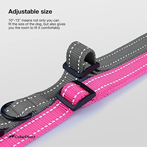 Reflective Dog Collar, Quick-Release Buckle (Grey, 10-13 Inch)