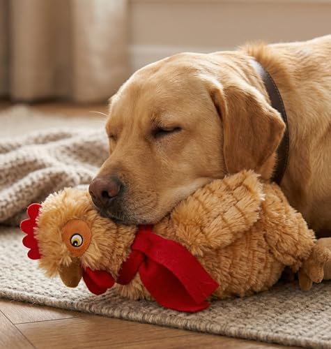 Fuzzl Plush Super Soft Cheeky Chicken - Golden Brown Dog Toy & Comforter – Cuddly Plush with Squeaker, Gentle Dog Toy for Puppies & Small to Medium Dogs
