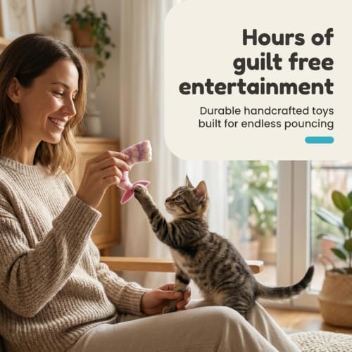 Glaciart One Wool Felt Cat Toys for Indoor Cats, 12-Piece Catnip Set