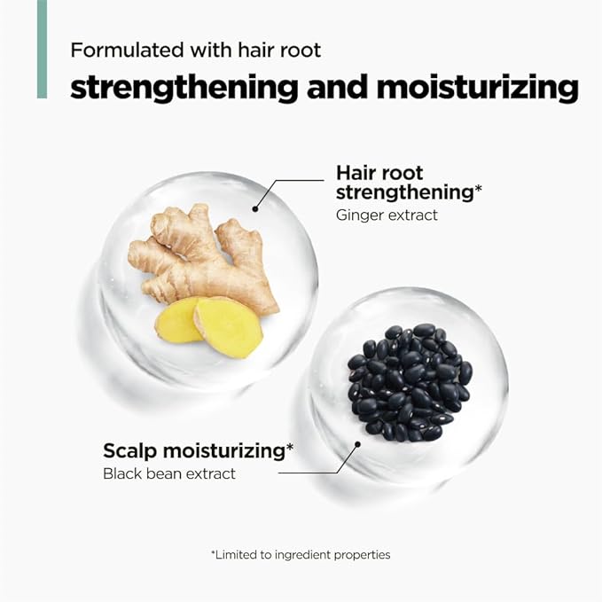 AMOS PROFESSIONAL The Green Tea Shampoo Moisturizing for Thinning Hair, Korean Shampoo for Dry Scalp l Flaky & Itchy Scalp, Strengthening Hair, All Hair Types, 16.9 fl. oz.