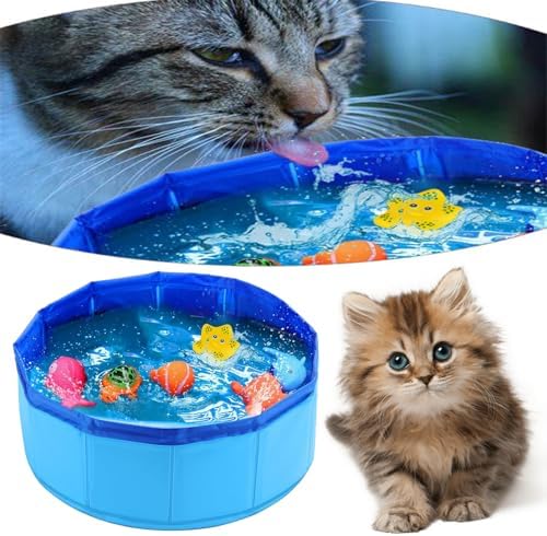 Cat Pool Toy with Fish, Portable Pet Pool Toy, Pet Water Toys for Indoor, Self Play Pet Toys, Funny Interactive Cat Toys