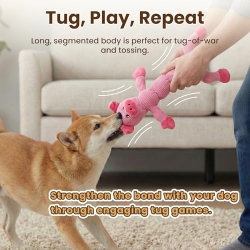 Laifug Interactive Squeaky Dog Chew Toy, Ideal Dog Toys for Chewers, Small, Medium & Large Dogs, and Fetch Lovers - Pig (Pink), Large