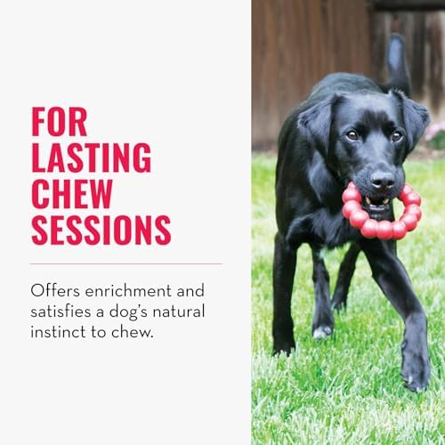 KONG Ring, Natural Rubber Chew Toy for Dental Health, for Extra Large Dogs
