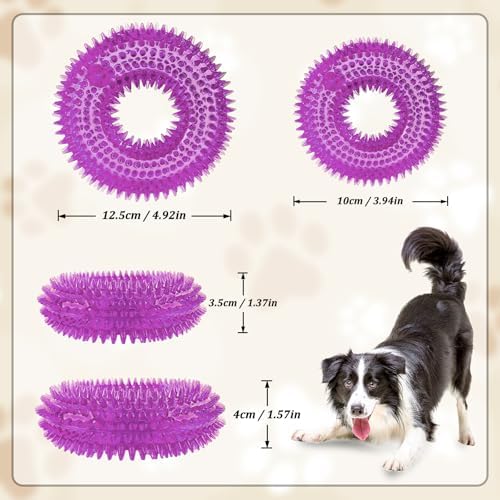 Andiker Squeaky Dog Toy, Safe TPR Chewable Dog Toys for Teeth Grinding&Cleaning Dog Fetch Toys for Enhancing Interactivity Outdoor Suitable for All Dog Sizes Puppy’s and Dogs (Large Purple)