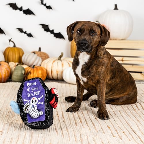 Fringe Studio Hide and Seek Burrow Plush Dog Toy, Sleep Tight, PetShop Collection (289232)