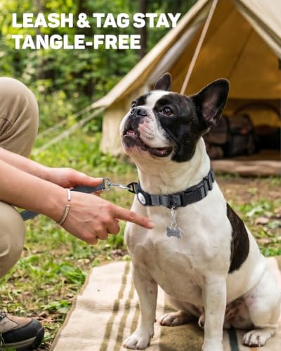 Padded Dog Collar with Waterproof Holder Compatible with Airtag