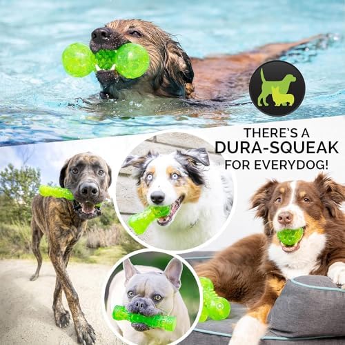 Hyper Pet DuraSqueak Dog Ball Toys (Interactive Toy that Float & Squeak) Squeaky Toys & Dog Balls for Playing, Fetching & Retrieving-Great Alternative to Traditional Tennis Balls-3.5"