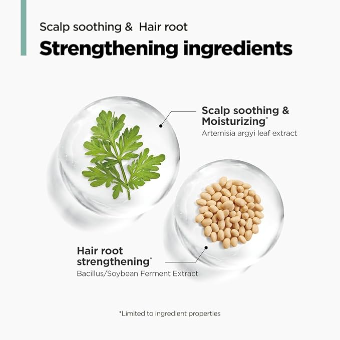AMOS PROFESSIONAL The Green Tea Moisturizing Pack, Hair & Scalp Treatment for Thinning Hair, Korean Hair Mask, Strengthening Hair, All Hair Types, 8.4 fl. oz.
