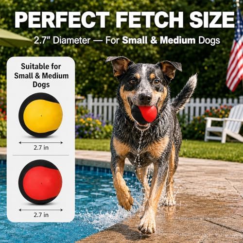 Squeaky Balls for Dogs, Interactive Rubber Fetch Toy for Small Medium Dogs