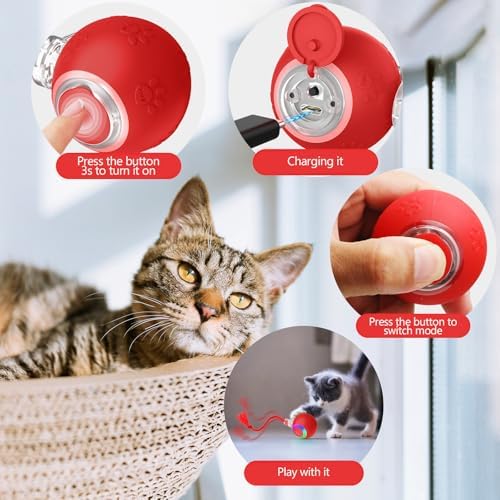 Moving Pet Ball, Cat String Toy for Indoor Cats & Small Dogs | juguetes para gatos|chirping bird cat toy|motion activated cat toy|cat toys for bored indoor adult cats