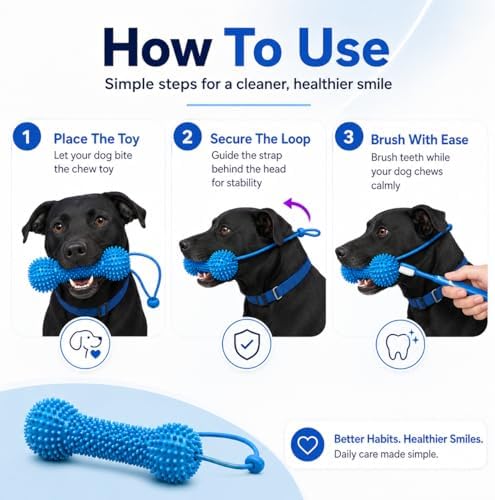 Dual-Action Canine Dental Prop,Dog Dental Chew Toy for Effortless Brushing,Interactive Treat-Dispensing Squeaky Bone,Pet Oral Care for Small,Medium,and Large Breeds (Blue-2pcs)