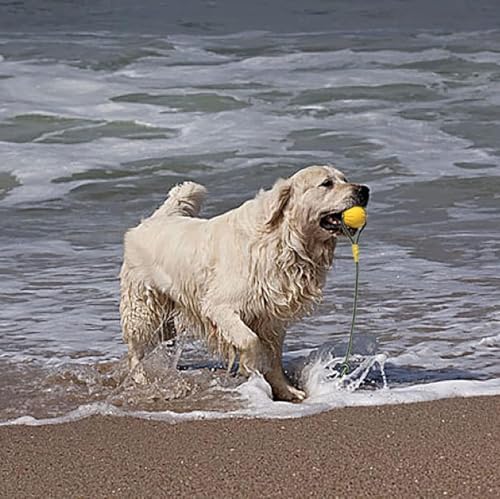 2 Pack Ball with Rope Dog Toy,Fling Dura Foam Toy,Dog Water Float Ball Rraining Boall on Rope (2 Pieces 9cm/3.5")