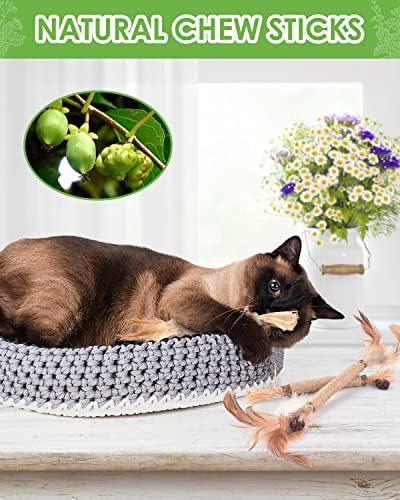 TINDTOP Silvervine Sticks for Cats with Natural Feather, Catnip Chew Toys