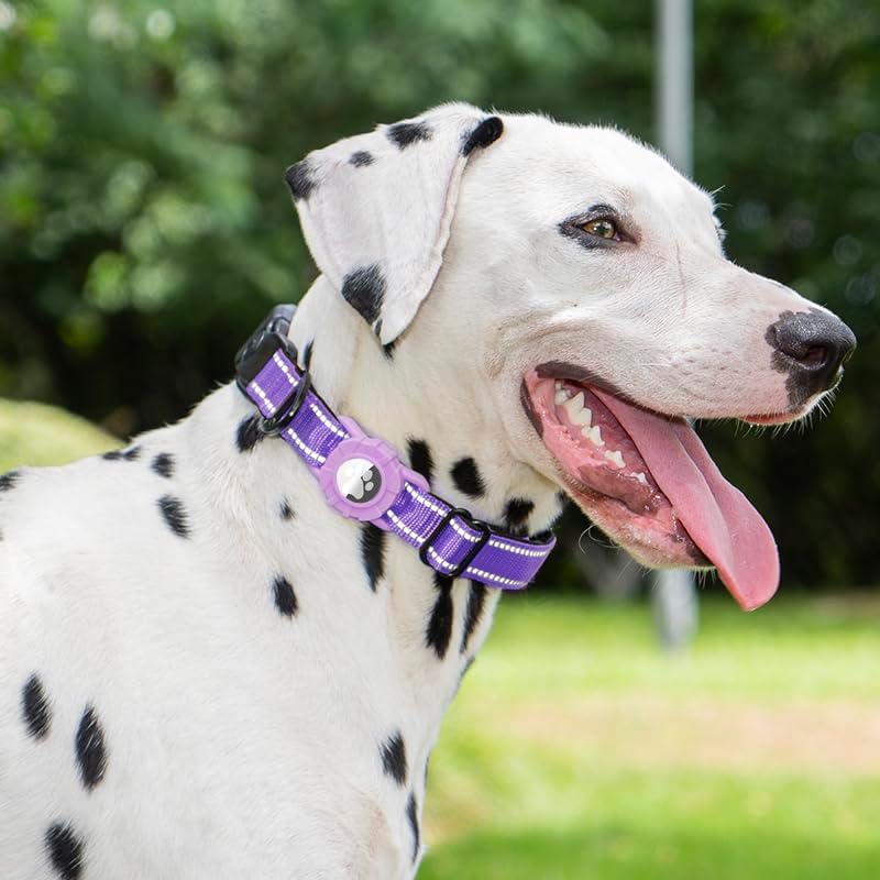 JSXD AirTag Dog Collar, Night Reflective Nylon Dog Collar for Small Medium Large Dogs,Lockable Quick Release Buckle,Padded Breathable Pet Collar with AirTag Holder (Purple, Large(15.7"-25.6"))
