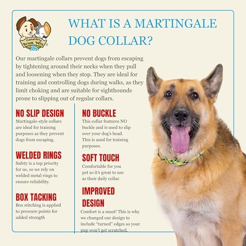 Country Brook Petz - HossFit Jr Wide Martingale Dog Collar - Plaid and Argyle Collection Featuring Charming Designs (Puppy Picnic, Extra Large)