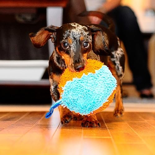 Chuckit! Indoor Fetch Shaker Dog Toy, Orange and Blue, 7.75 inches (Pack of 12)