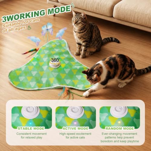 Interactive Cat Toy, Hide and Seek with Feather & Butterfly for Indoor Cats