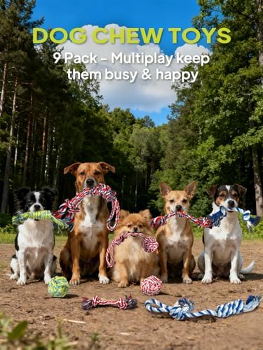TwoEar Dog Rope Toy 9 Pack - Puppy Teething Toys for Small Medium Breed