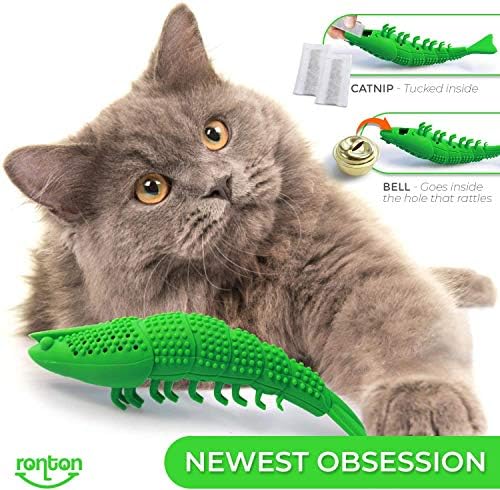 Ronton Cat Toothbrush Catnip Toy - Durable Hard Rubber - Dental Care, Cat Interactive Toothbrush Chew Toy (1 Pack Green (Shrimp)
