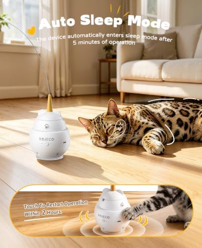 ROJECO Interactive Cat Toys,2 in 1 Automatic Cat Toy with Flying Bird