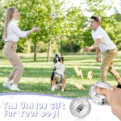 HyDren 2 Pcs Disco Ball Dog Squeaky Plush Toys, 4 Inch