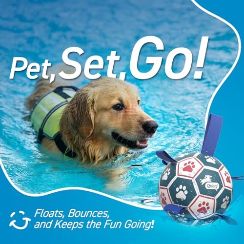 QDAN Large Dog Toys, 8 Inch Durable Balls for Dogs, Soccer Ball with Straps