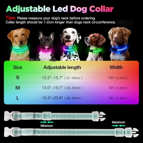 Flashseen Light up Collars for Dogs at Night, 9-Mode Glow, USB Rechargeable | Color Changing LED Lighted Dog Collar, Super Bright Adjustable Glow Collar for Night Walking (Cyan, Medium)