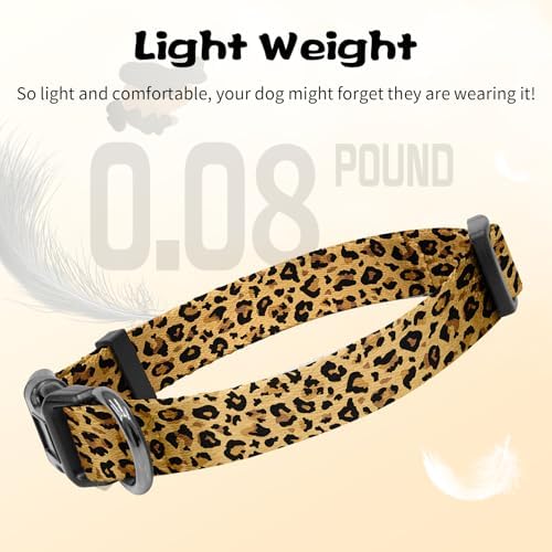 Puppy Dog Collar & Hands-Free Dog Leash Adjustable Length 5-8 Ft Adjustable Nylon Collar with Quick-Release Buckle
