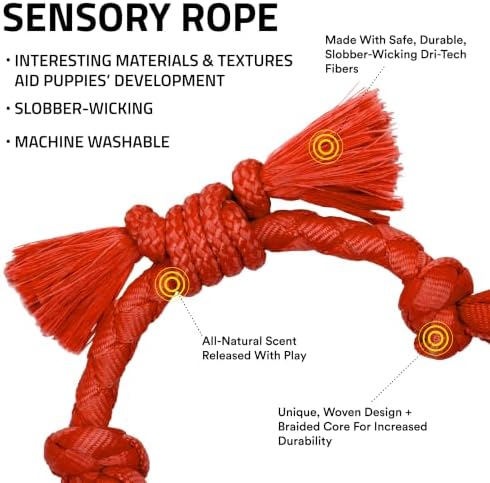 Playology Dog Toys | Sensory Rope for Puppies and Young Dogs | Beef Scented Small Tug of War Dog Toy | Teething Puppy Essentials Rope Toys