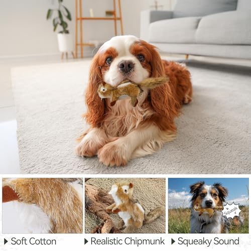 ALL FOR PAWS Squeaky Dog Toys, Plush Dog Toy, Stuffed Animal Dog Toys for Small Medium Large Dogs, Soft Chipmunk Toy with Squeaker