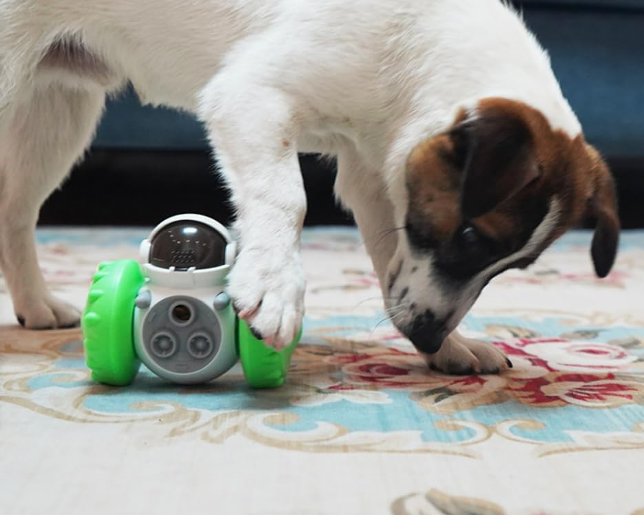 Interactive Pet Food Dispenser Toy for Dogs and Cats, Treat Dispensing Rolling Ball with Textured Wheels, Available in Yellow, Green, Black (Green)