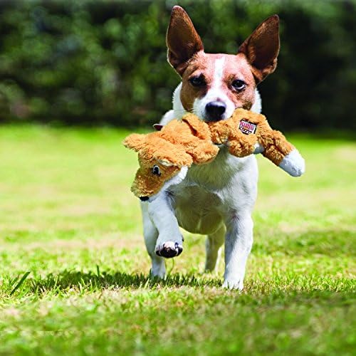 KONG Scrunch Knots (Raccoon, Medium/Large) Plush Dog Toy with Knotted Rope