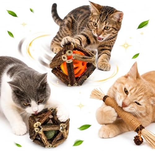 3-in-1 Cat Toy Set with Silvervine Stick Balls, Catnip Vine Ball & Raffia Chew Stick, Interactive Natural Chew Toys for Indoor Cats, Kitten Teething, Batting, Chasing, Licking, Daily Enrichment Play