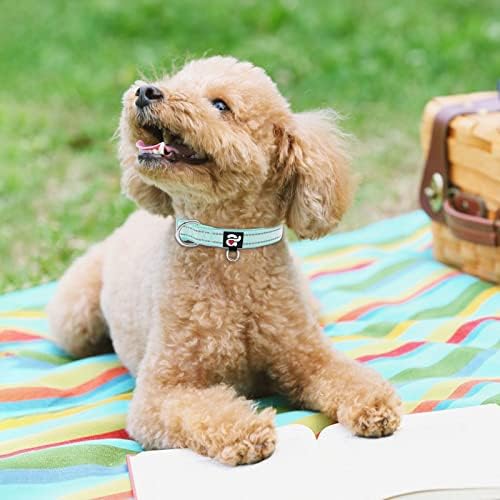 azuza Reflective Dog Collar,Soft Neoprene Padded Pet Collar with ID Tag Ring,Adjustable for Puppy and Small Dogs,Teal,XS