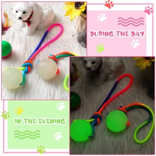 Hollowfly 2 Pcs Christmas Glow in Dark Dog Ball on Rope 2.36" Toy